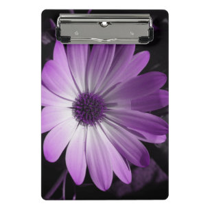 Porte-bloc Mini Porte - bloc de fleur marguerite violet