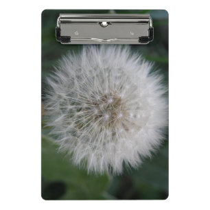 Porte-bloc Mini Porte - bloc de la fleur de Dandelion