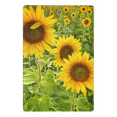 Porte-bloc Mini Porte - bloc "tournesol" (Dos)