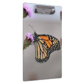 Porte-bloc Monarque (Swatch)