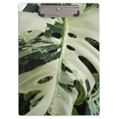 Porte-bloc Monstera variée Plante Botanique (Devant)