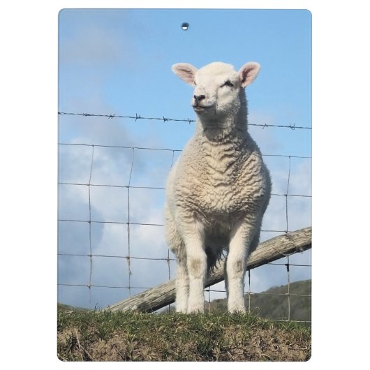 PORTE-BLOC MOQUETTE (Dos)