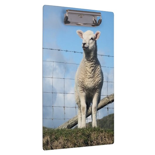 PORTE-BLOC MOQUETTE (Swatch)