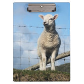 PORTE-BLOC MOQUETTE (Devant)