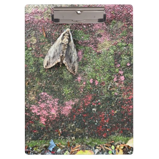 Porte-bloc Moth inspirée par la nature (Devant)