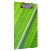 Porte-bloc Motif à rayures vert (Swatch)