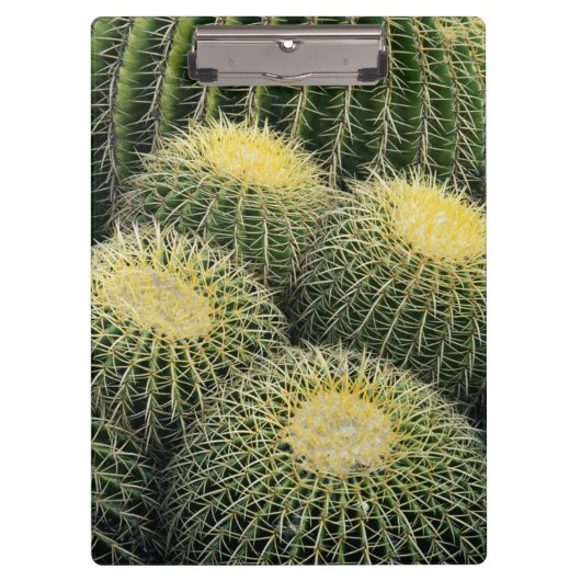 Porte-bloc Motif de cactus (Devant)