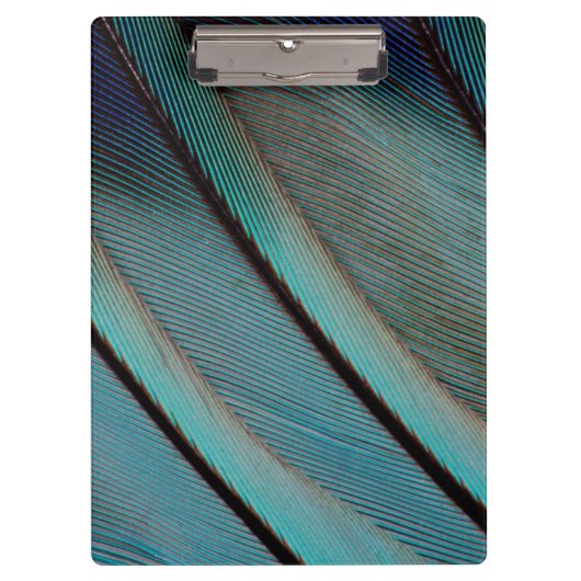 Porte-bloc Motif de plume bleue (Devant)
