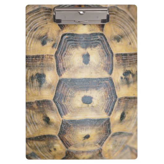 Porte-bloc Motif Tortoise Shell (Devant)