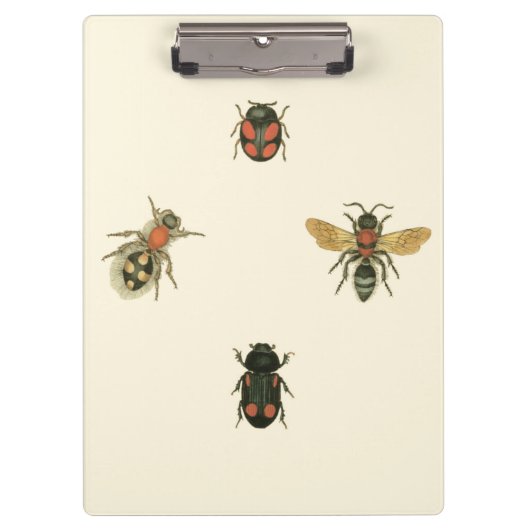 Porte-bloc Mouches et coléoptères par Vision Studio (Devant)
