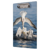 Porte-bloc Mouettes de plongée (Gauche)