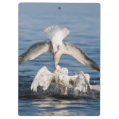 Porte-bloc Mouettes de plongée (Dos)