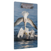 Porte-bloc Mouettes de plongée (Swatch)