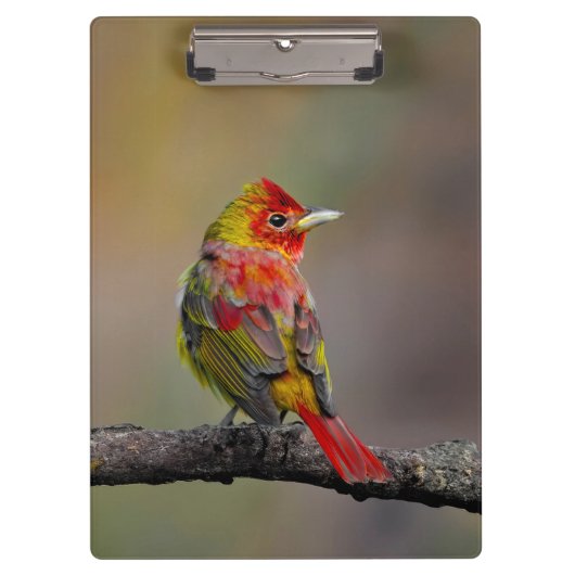 Porte-bloc Moulage de Tangère - Photo originale (Devant)