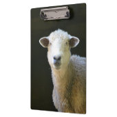 Porte-bloc Mouton de campagne (Gauche)