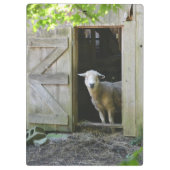 Porte-bloc Mouton de campagne (Dos)