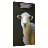 Porte-bloc Mouton de campagne (Swatch)
