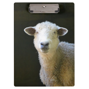 Porte-bloc Mouton de campagne