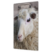 Porte-bloc Mouton drôle (Gauche)