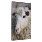 Porte-bloc Mouton drôle (Swatch)