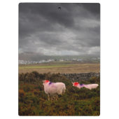 Porte-bloc Moutons colorés (Dos)
