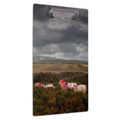 Porte-bloc Moutons colorés (Swatch)