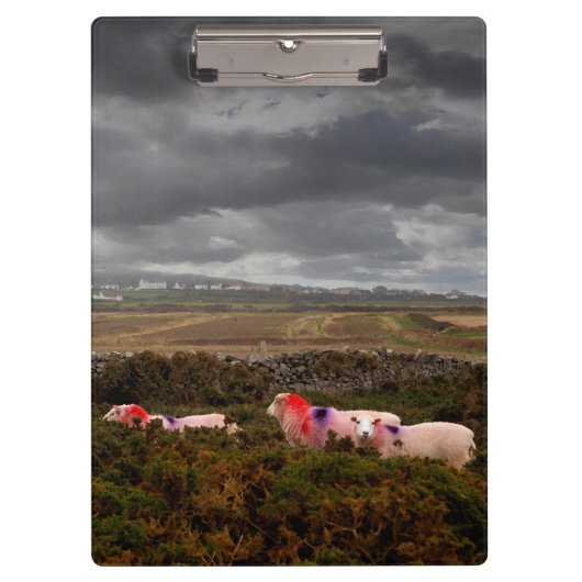 Porte-bloc Moutons colorés (Devant)