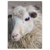 Porte-bloc Moutons drôles (Dos)