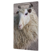 Porte-bloc Moutons drôles (Gauche)