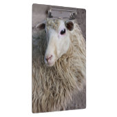 Porte-bloc Moutons drôles (Swatch)