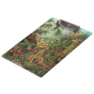 Porte-bloc Muscinae vintage, plantes de mousse par Ernst Haec