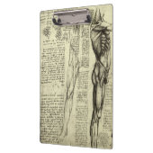 Porte-bloc Muscles humains anatomiques de Léonard de Vinci (Gauche)