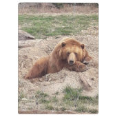 Porte-bloc Nap ours (Dos)