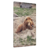 Porte-bloc Nap ours (Swatch)