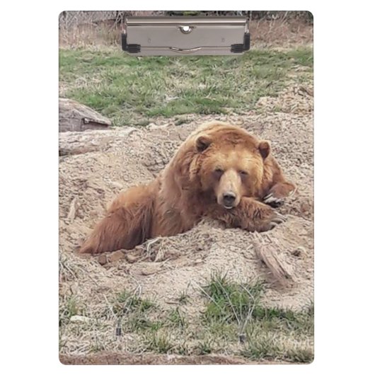 Porte-bloc Nap ours (Devant)