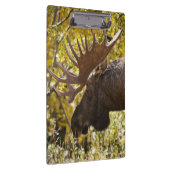 Porte-bloc Noble taureau (Swatch)