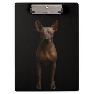 Porte-bloc noir 4 Luxe, Chien Pila d'Argentine