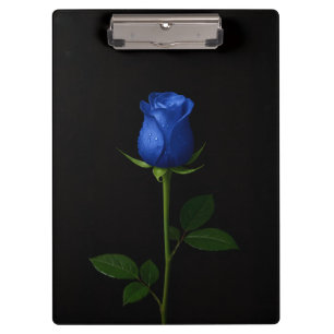Porte-bloc noir 4 Luxe, Rose Bleu de Minuit