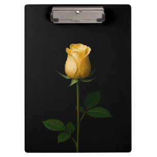 Porte-bloc noir 4 Luxe, Rose jaune ensoleillée