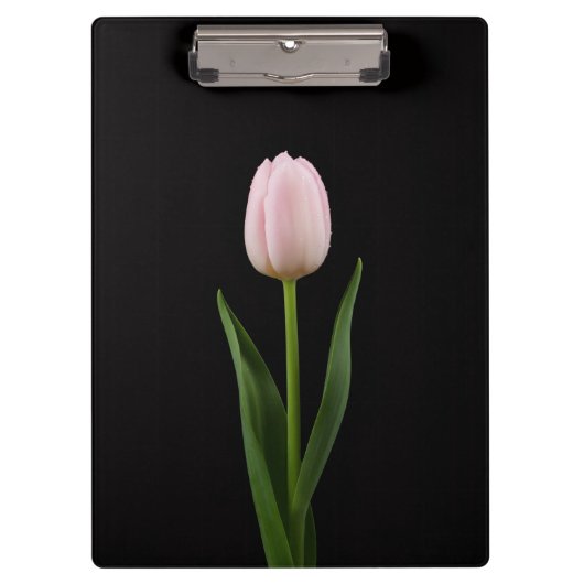Porte-bloc noir 4 Luxe, Tulipe rose tendre (Devant)
