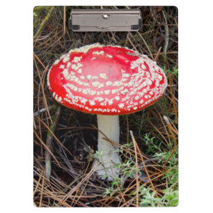 Porte-bloc Nouvelle-Zélande, Rotorua, zone volcanique du Tau