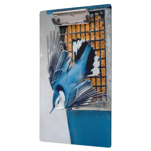 Porte-bloc Nuthatch à poitrine blanche en neige - Photo origi (Gauche)