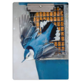 Porte-bloc Nuthatch à poitrine blanche en neige - Photo origi (Devant)