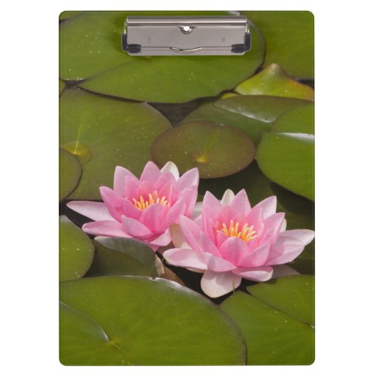 Porte-bloc Nymphéas en fleurs (Devant)
