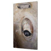 Porte-bloc OEil octopique (Gauche)