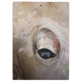 Porte-bloc OEil octopique (Dos)