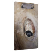Porte-bloc OEil octopique (Swatch)