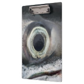 Porte-bloc Oeil saumon (Gauche)