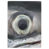 Porte-bloc Oeil saumon (Dos)