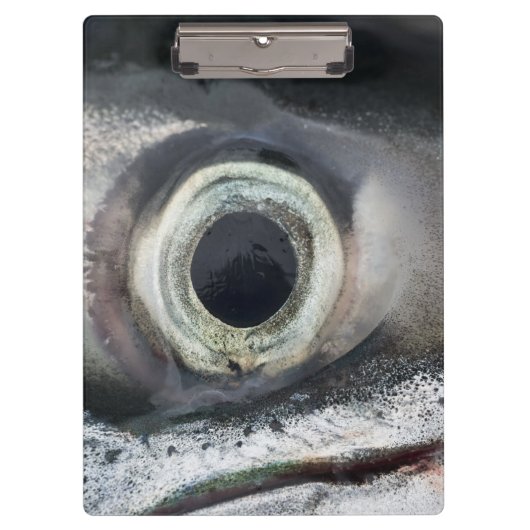 Porte-bloc Oeil saumon (Devant)